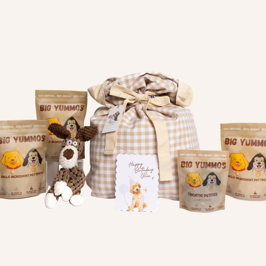 The Special Moments Bundle ⟡