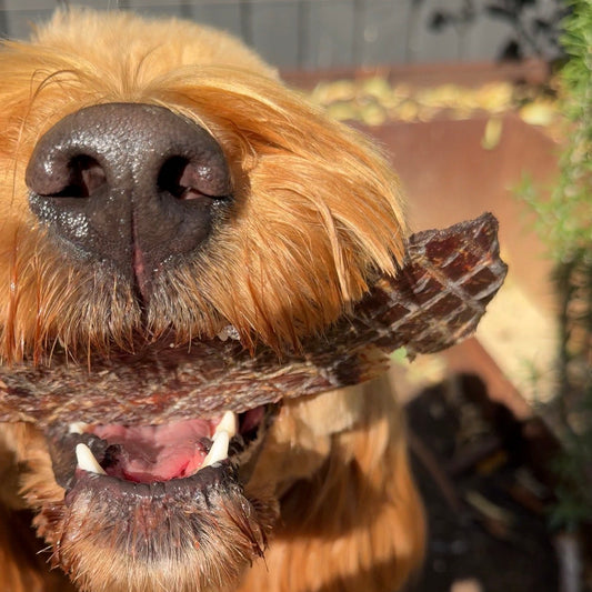 Moo Jerky