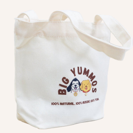 The Everyday Mini Tote