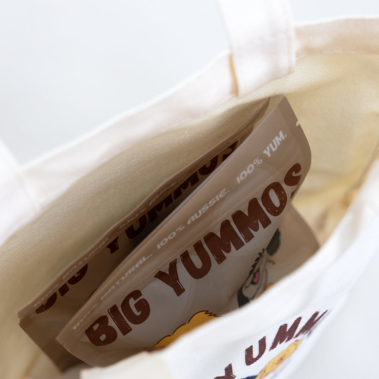 The Everyday Mini Tote